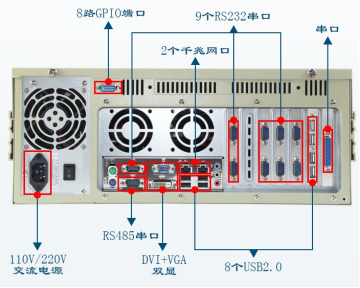 عػDT-610P-XH61MB