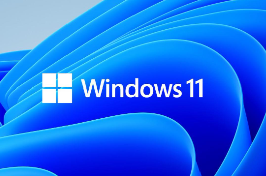 Windows 11ϵͳ.png